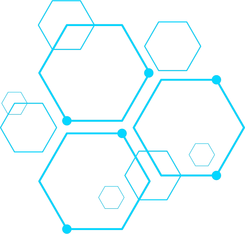 675ec758 31a9 41b1 b77a 90f63bb633c2